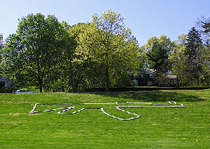 Carlo Vialu's We Shall Be Greeted with Flowers (Pierro Gallery, 2006)