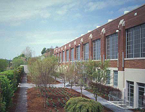 redesign by Robert Irwin: Dia:Beacon's West Garden (photo by National Trust for Historic Preservation, 2003)